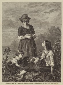 Gli animali domestici rivali, nell